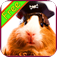 GuineaPig+ Free